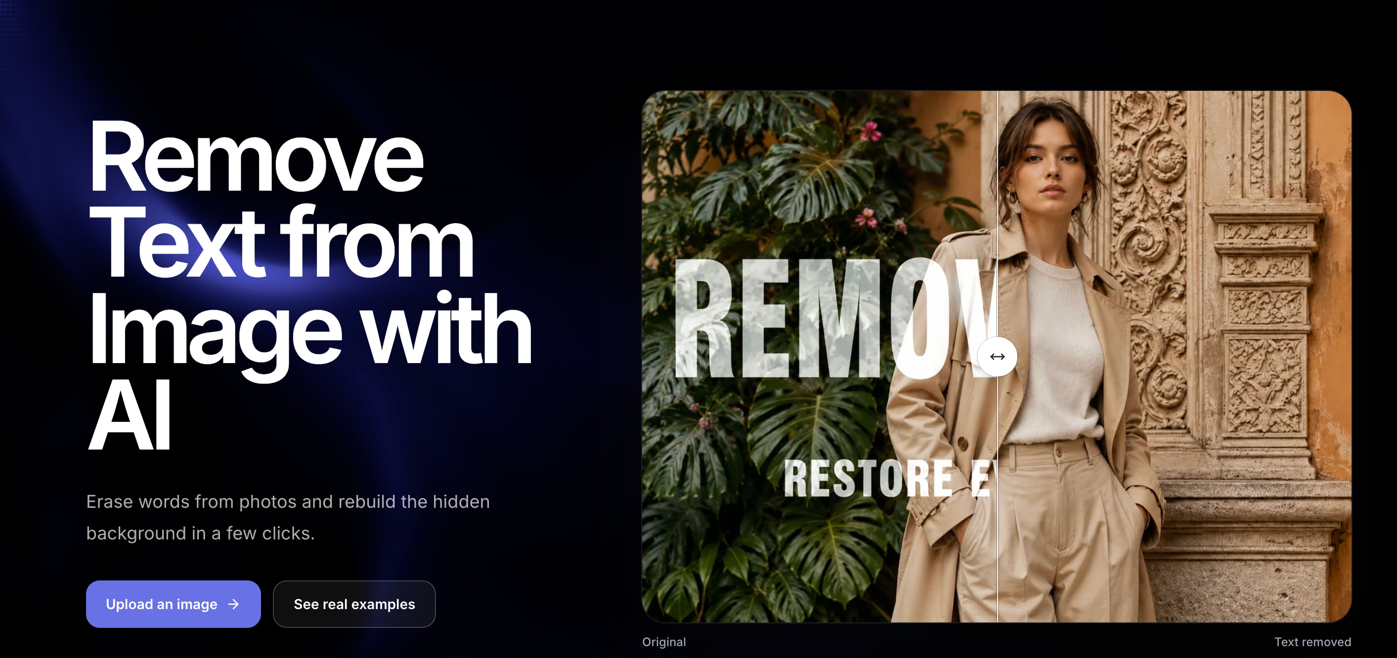 RemoveText cover